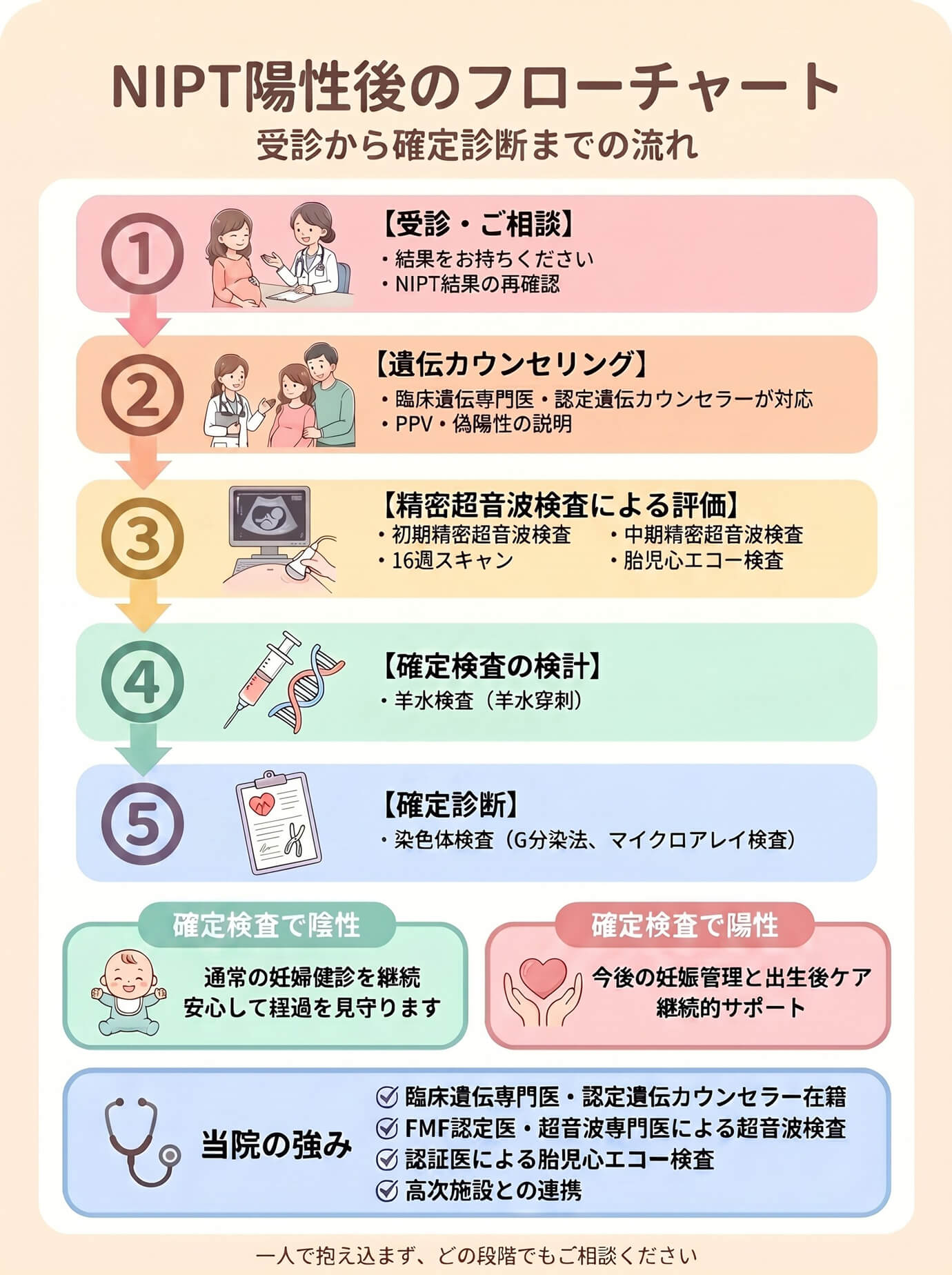 NIPT陽性後のフローチャート